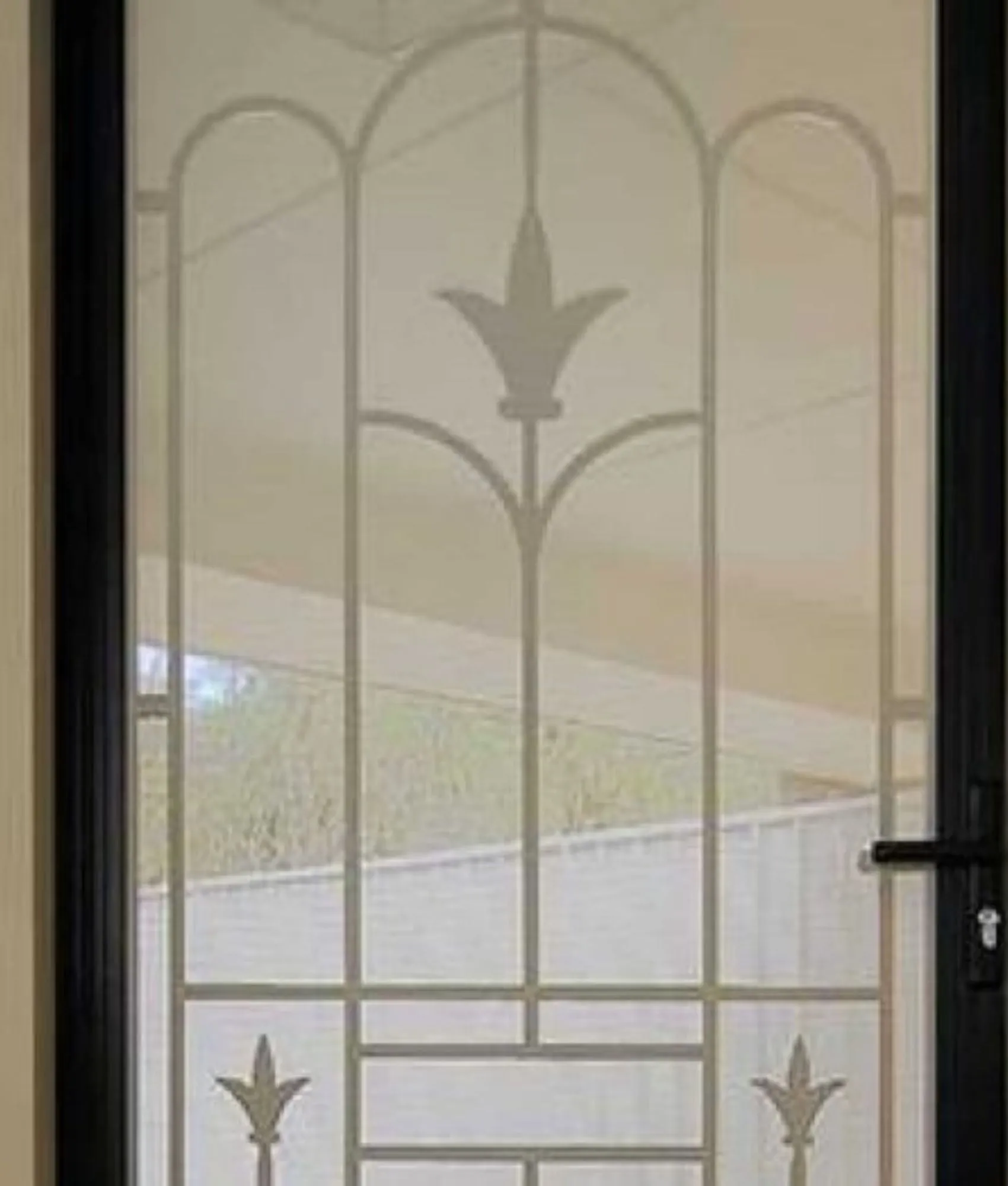 Decorative security door
