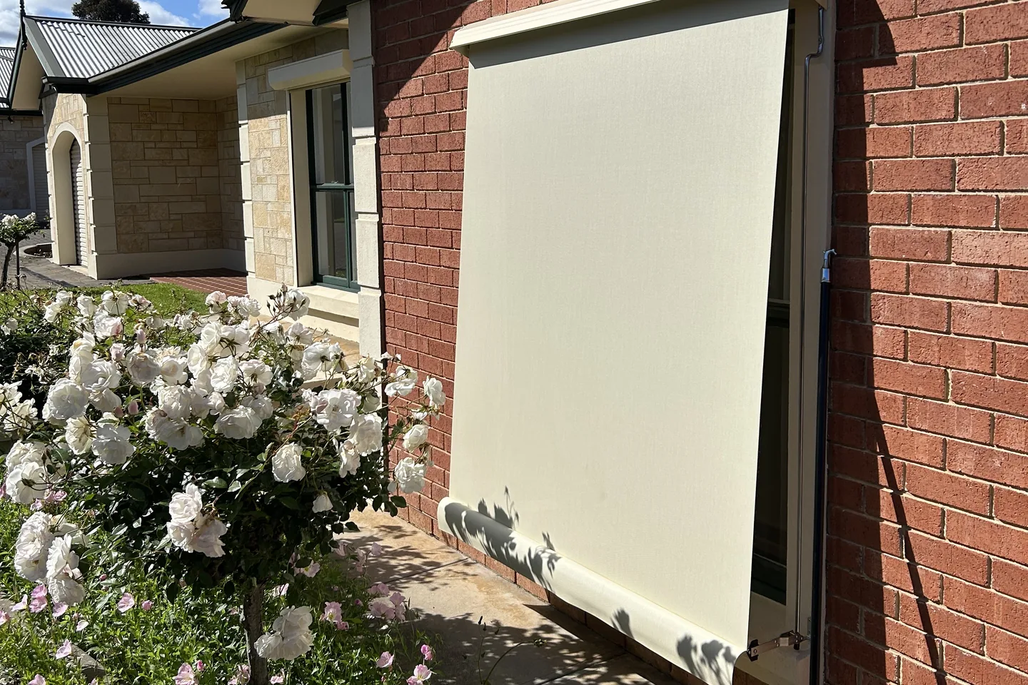 Cream auto guide awning angled out over a window beside a rose bush