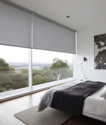 Indoor Blinds