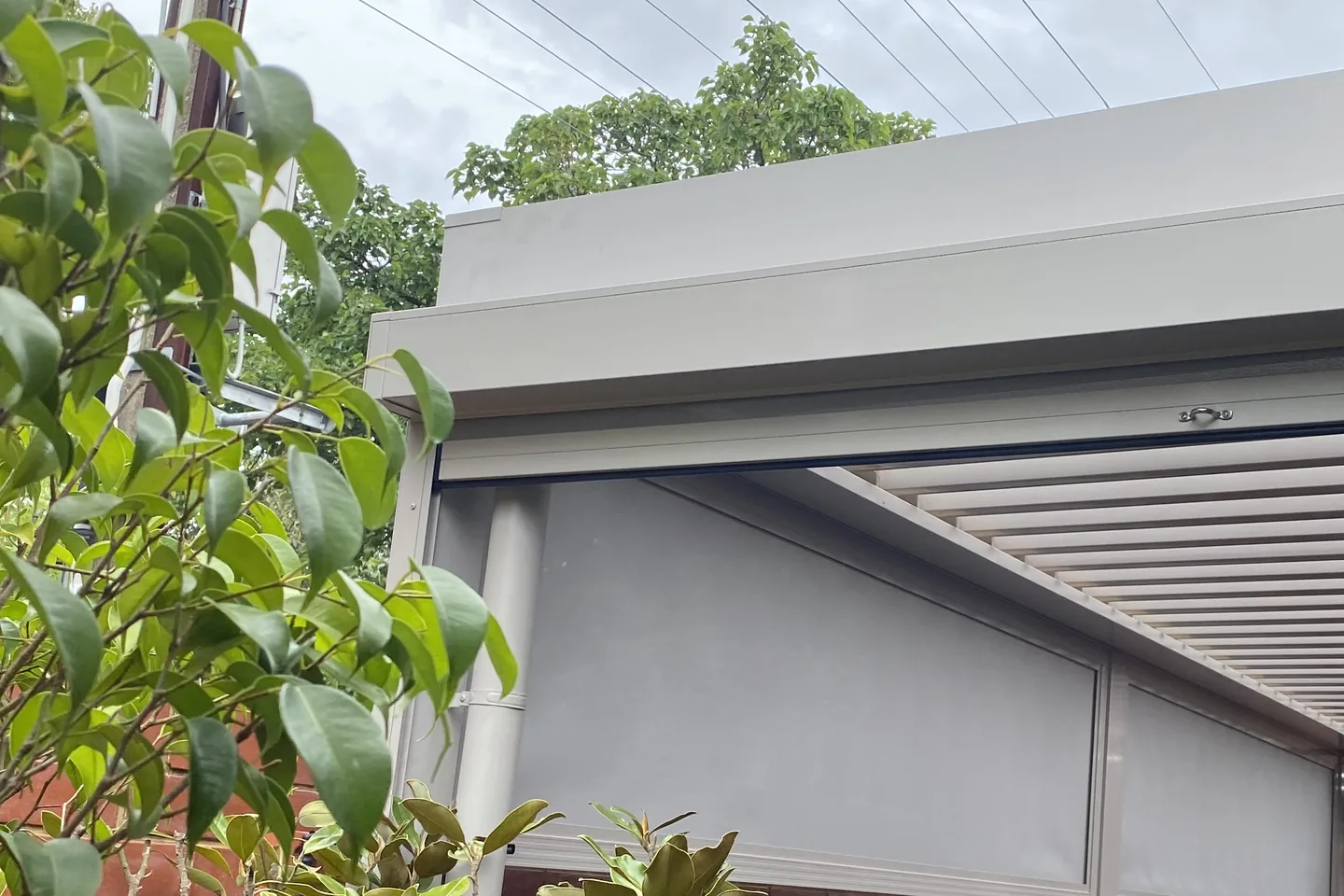 Pergola infill panels seen past a garden shrub