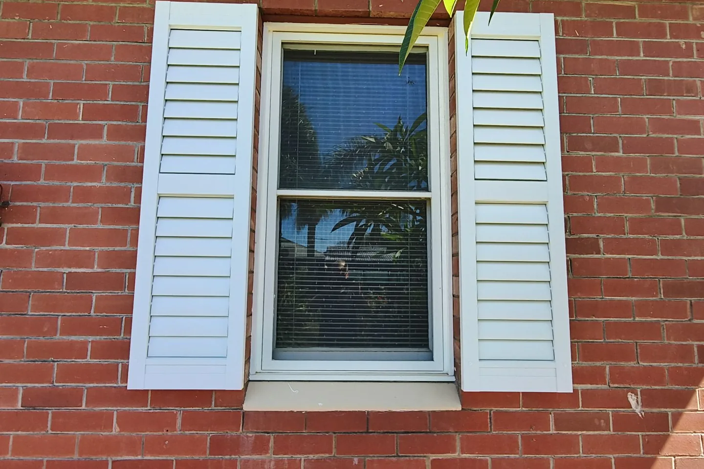 Pair of pale hinged shutters opened back against a red brick wall either side of a window
