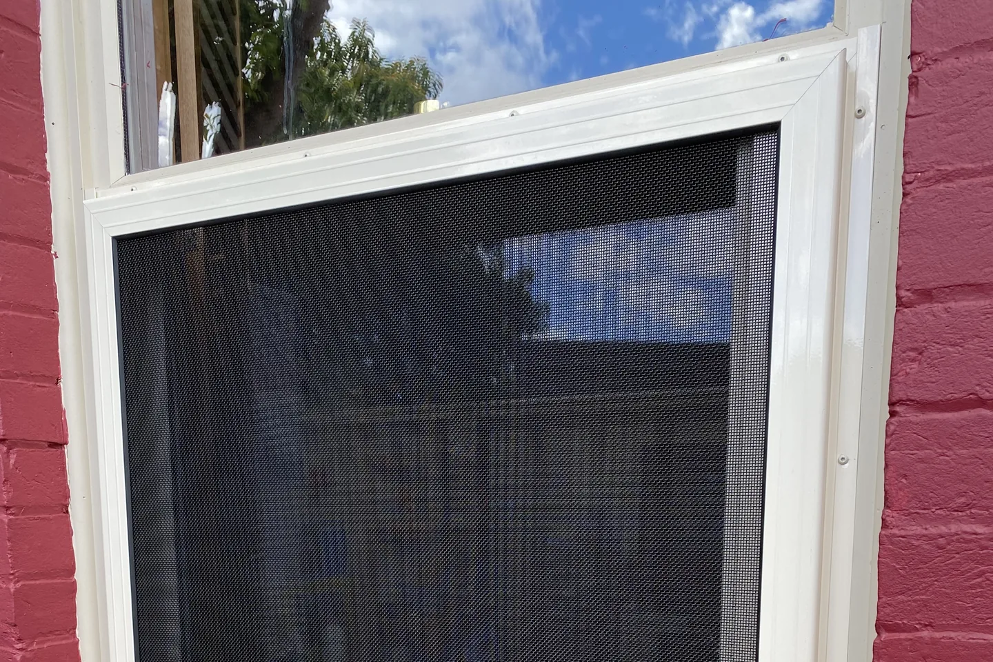 Cream-framed stainless steel mesh security screen on a window with a red painted brick surround